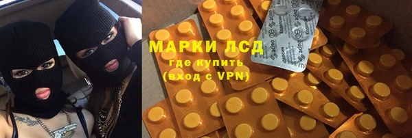 крисы Алзамай