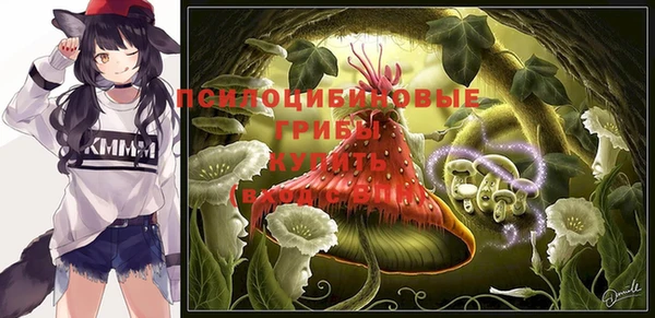 PSILOCYBIN Армянск