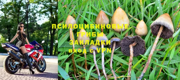 крисы Алзамай