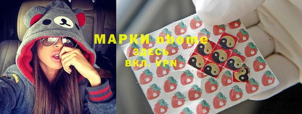 крисы Алзамай