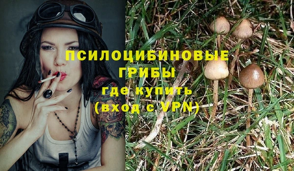Альфа ПВП Алексин