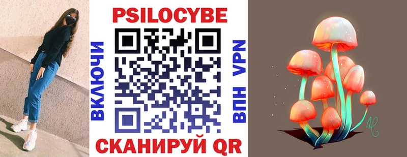 Псилоцибиновые грибы Psilocybine cubensis  Кизел 